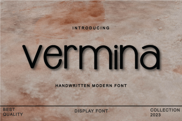 Vermina – A Sleek Modern Display Font for Brands