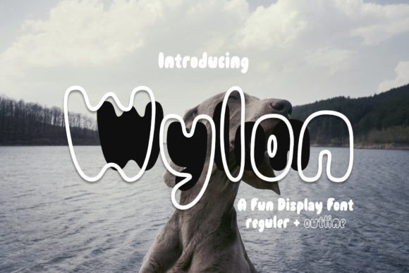 Wylon Font: A Cheerful Display Typeface for Small Business Branding